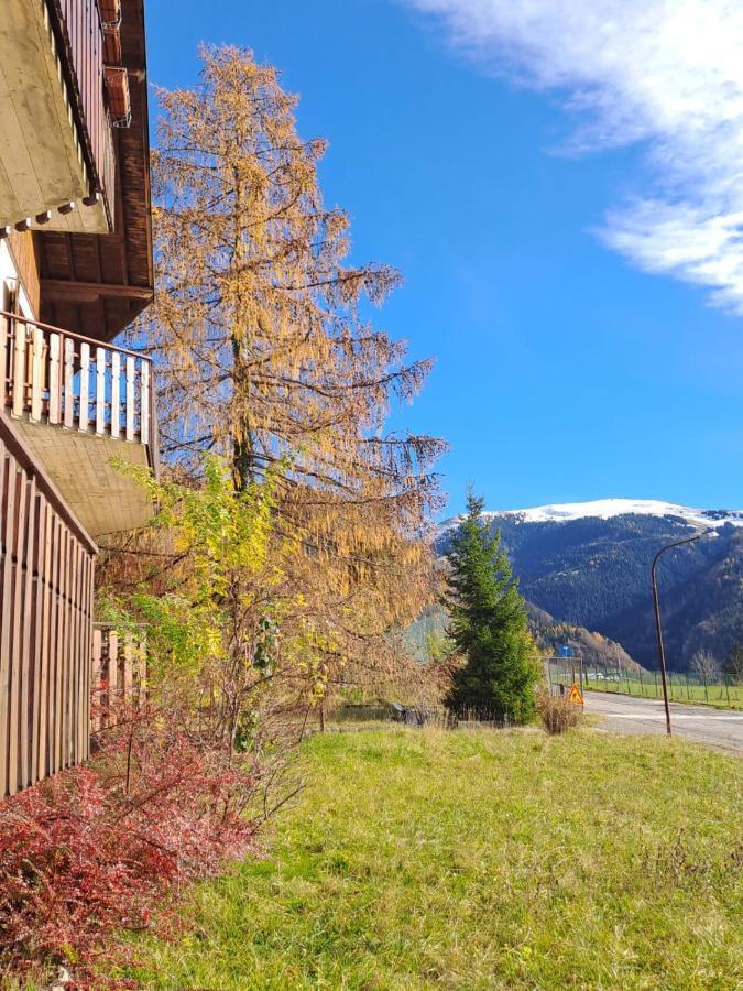 181 - Casa Arcobaleno Tra Le Alpi, Piste Da Sci A 15 Minuti Apartment Кастионе дела Презолана Екстериор снимка
