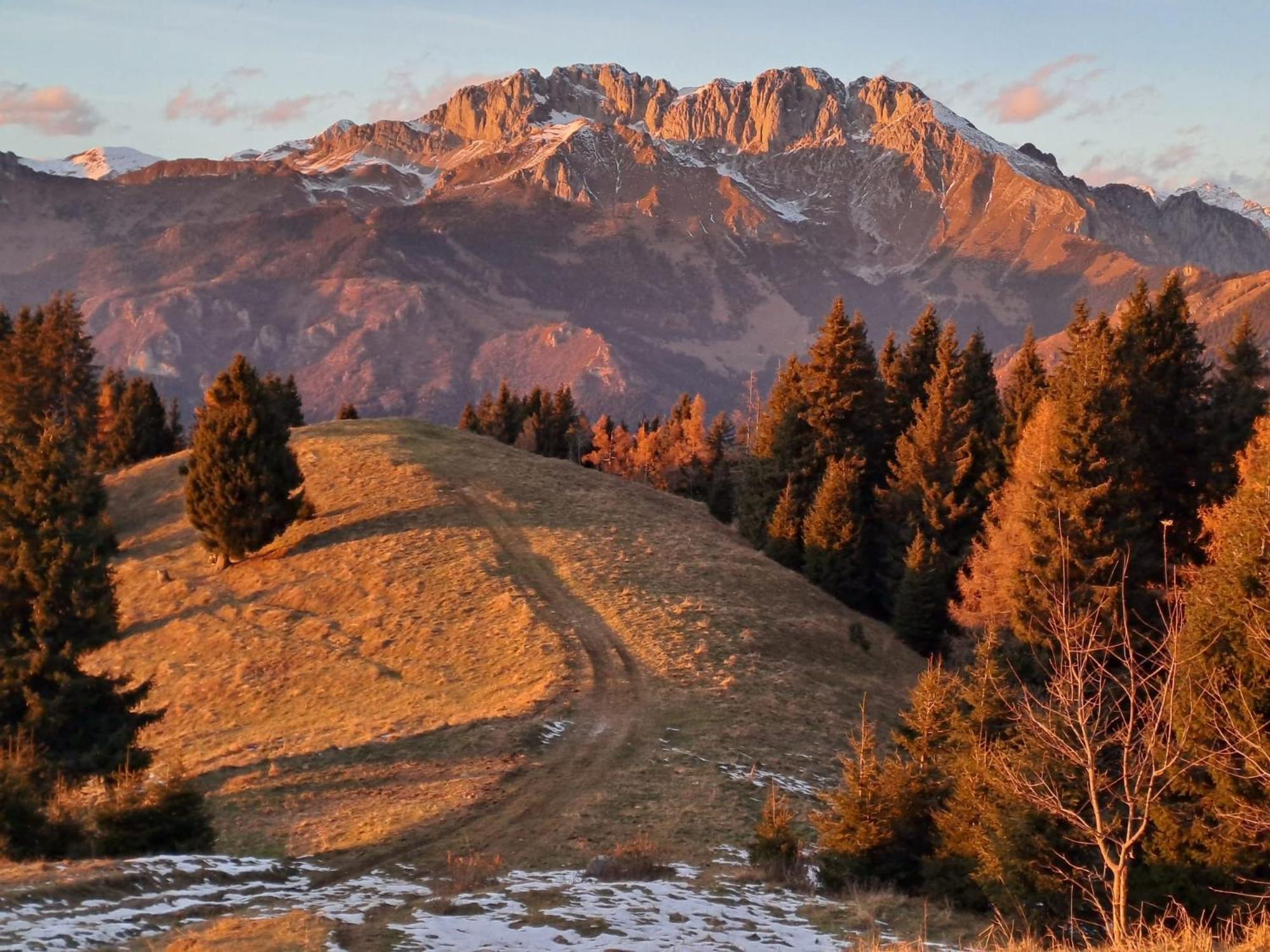 181 - Casa Arcobaleno Tra Le Alpi, Piste Da Sci A 15 Minuti Apartment Кастионе дела Презолана Екстериор снимка